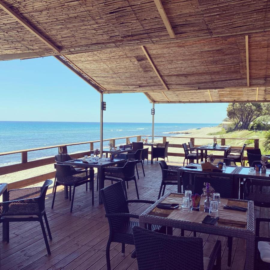Studio A 100M De La Plage Et De La Piscine Cervione Exteriér fotografie