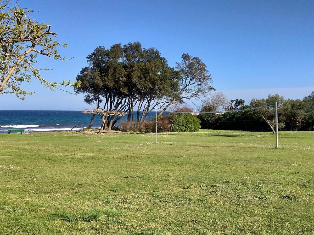 Studio A 100M De La Plage Et De La Piscine Cervione Exteriér fotografie